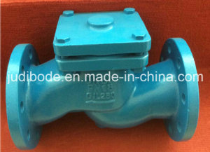 DIN En Cast Iron Lift Check Valve